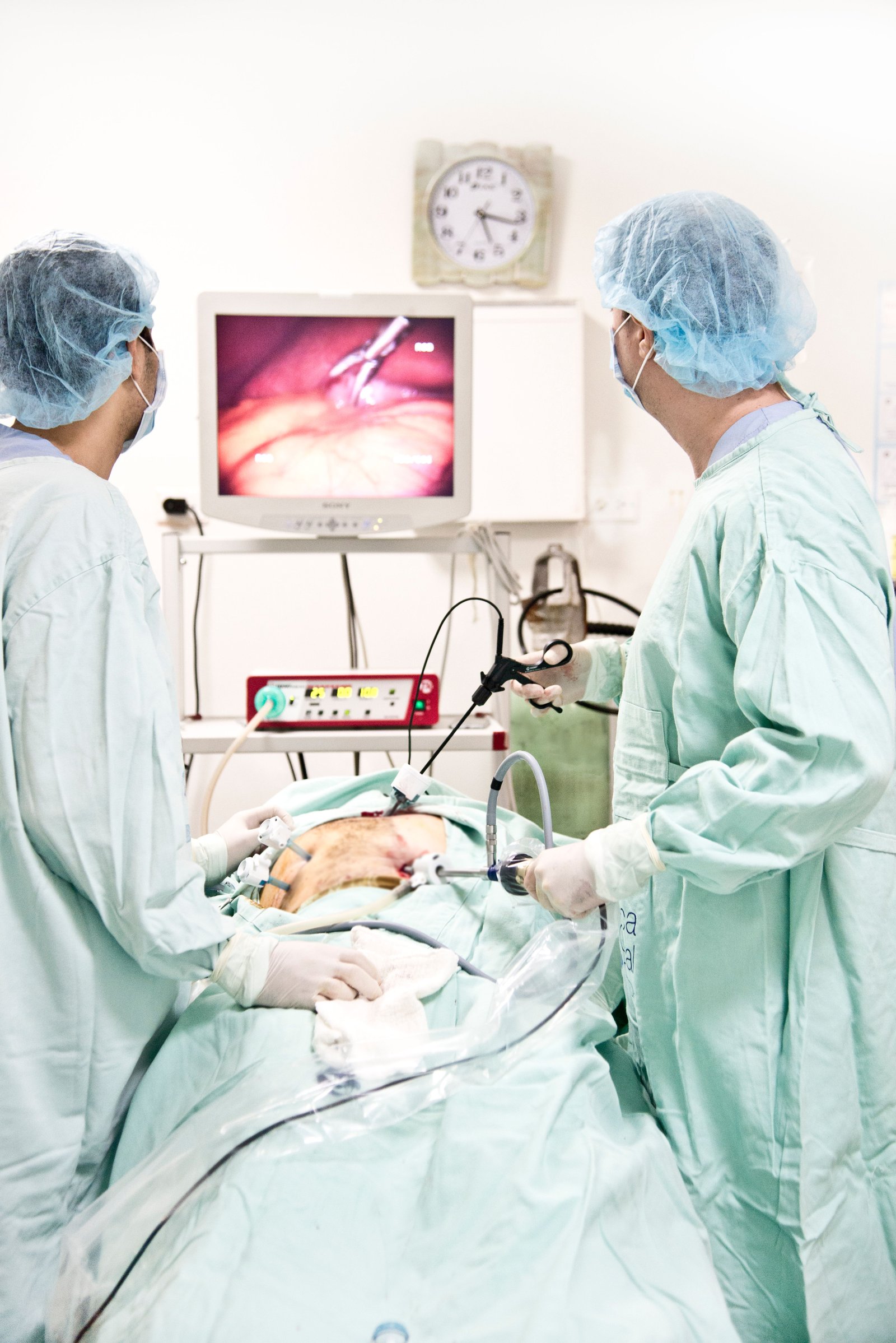 Therapeutic Endoscopy